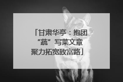 甘肃华亭：抱团“蔬”写菜文章 聚力拓宽致富路