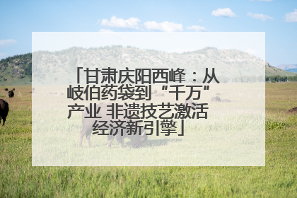 甘肃庆阳西峰：从岐伯药袋到“千万”产业 非遗技艺激活经济新引擎