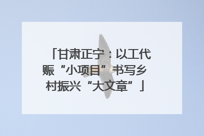 甘肃正宁：以工代赈“小项目”书写乡村振兴“大文章”