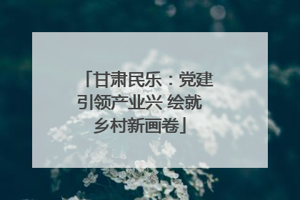 甘肃民乐：党建引领产业兴 绘就乡村新画卷