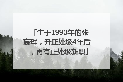 生于1990年的张宸珲，升正处级4年后，再有正处级新职