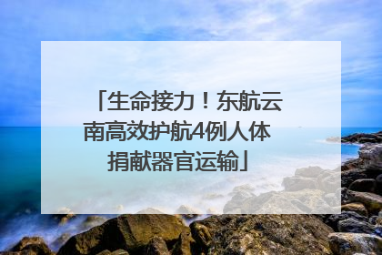 生命接力！东航云南高效护航4例人体捐献器官运输