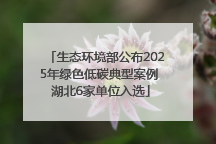 生态环境部公布2025年绿色低碳典型案例 湖北6家单位入选
