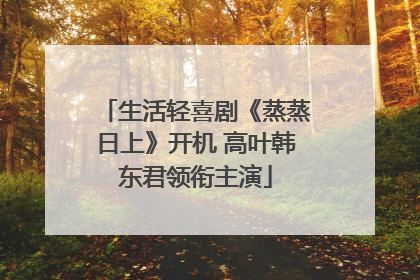 生活轻喜剧《蒸蒸日上》开机 高叶韩东君领衔主演