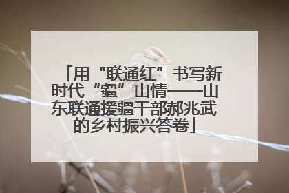 用“联通红”书写新时代“疆”山情——山东联通援疆干部郝兆武的乡村振兴答卷