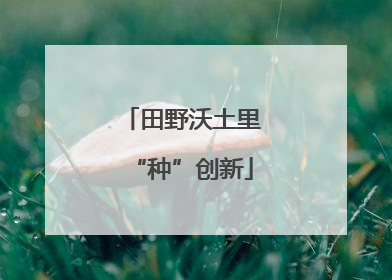 田野沃土里“种”创新