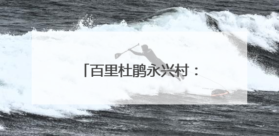 百里杜鹃永兴村：理论宣讲入人心 和美乡村焕新颜