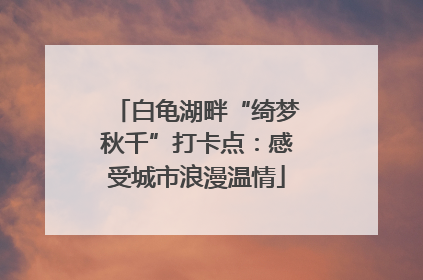 白龟湖畔“绮梦秋千”打卡点：感受城市浪漫温情
