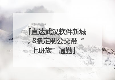 直达武汉软件新城，8条定制公交带“上班族”通勤