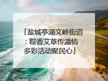 盐城亭湖文峰街道：粽香艾草传温情 多彩活动聚民心