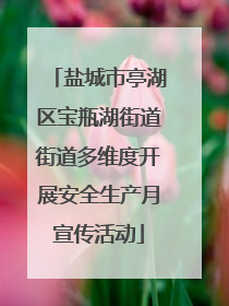盐城市亭湖区宝瓶湖街道街道多维度开展安全生产月宣传活动
