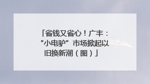 省钱又省心！广丰：“小电驴”市场掀起以旧换新潮（图）
