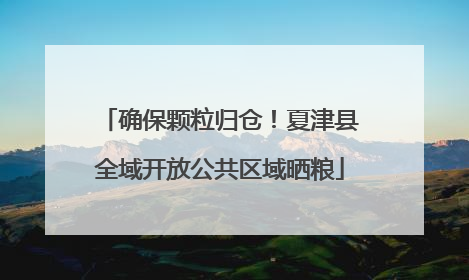 确保颗粒归仓！夏津县全域开放公共区域晒粮
