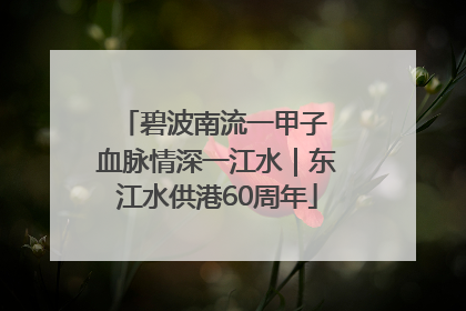 碧波南流一甲子 血脉情深一江水｜东江水供港60周年