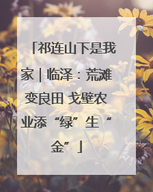 祁连山下是我家｜临泽：荒滩变良田 戈壁农业添“绿”生“金”