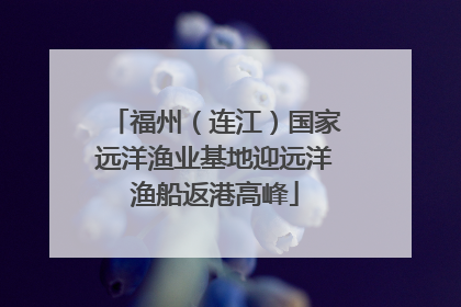福州（连江）国家远洋渔业基地迎远洋渔船返港高峰