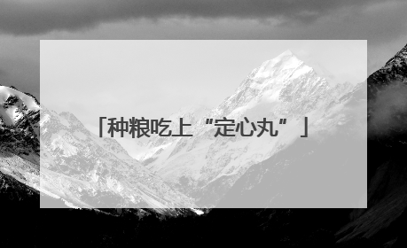 种粮吃上“定心丸”