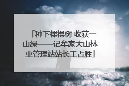 种下棵棵树 收获一山绿——记牟家大山林业管理站站长王占胜