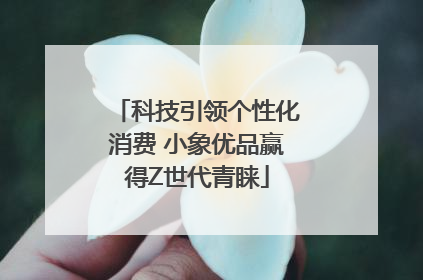 科技引领个性化消费 小象优品赢得Z世代青睐