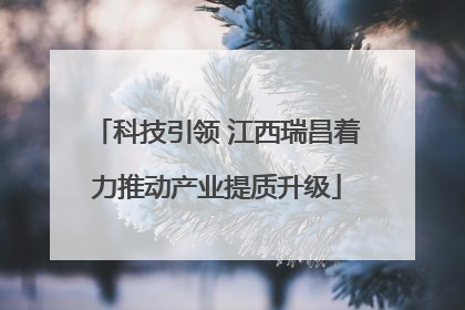 科技引领 江西瑞昌着力推动产业提质升级