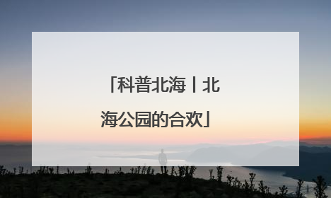 科普北海丨北海公园的合欢