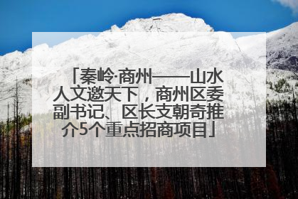 秦岭·商州——山水人文邀天下，商州区委副书记、区长支朝奇推介5个重点招商项目