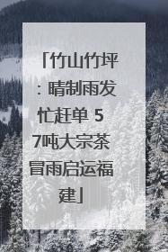 竹山竹坪：晴制雨发忙赶单 57吨大宗茶冒雨启运福建