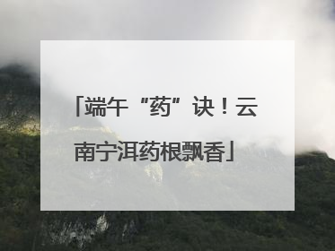 端午“药”诀！云南宁洱药根飘香