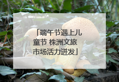 端午节遇上儿童节 株洲文旅市场活力迸发