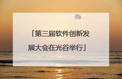 第三届软件创新发展大会在光谷举行