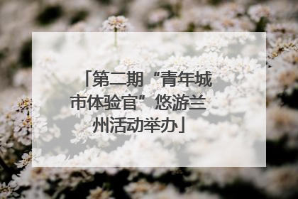 第二期“青年城市体验官”悠游兰州活动举办