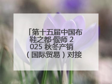 第十五届中国布鞋之都·偃师 2025 秋冬产销（国际贸易）对接会隆重开幕