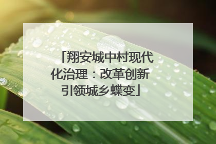 翔安城中村现代化治理：改革创新引领城乡蝶变