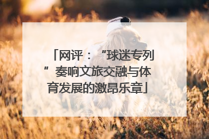 网评：“球迷专列”奏响文旅交融与体育发展的激昂乐章