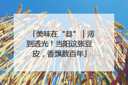 美味在“县”｜薄到透光！当阳这张豆皮，香飘数百年
