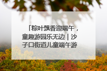 粽叶飘香迎端午，童趣游园乐无边｜沙子口街道儿童端午游园活动圆满落幕