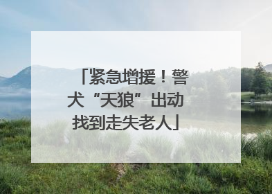 紧急增援！警犬“天狼”出动找到走失老人