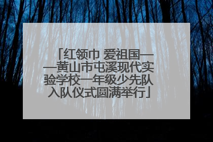 红领巾 爱祖国——黄山市屯溪现代实验学校一年级少先队入队仪式圆满举行