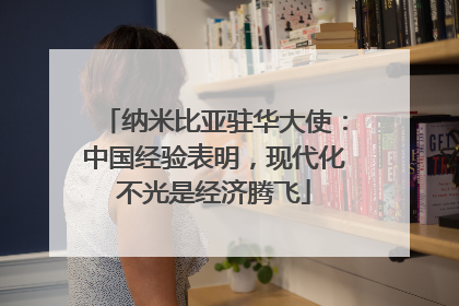纳米比亚驻华大使：中国经验表明，现代化不光是经济腾飞