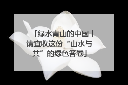 绿水青山的中国丨请查收这份“山水与共”的绿色答卷