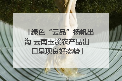 绿色“云品”扬帆出海 云南玉溪农产品出口呈现良好态势