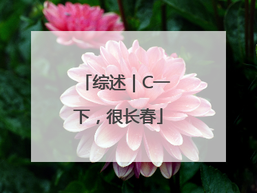综述｜C一下，很长春