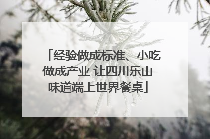 经验做成标准、小吃做成产业 让四川乐山味道端上世界餐桌