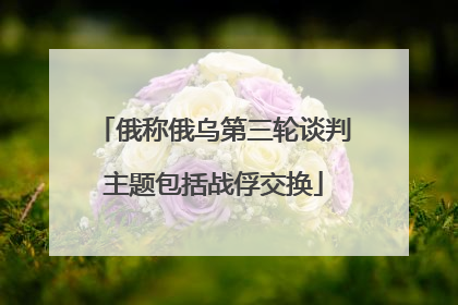 俄称俄乌第三轮谈判主题包括战俘交换