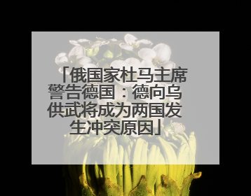 俄国家杜马主席警告德国：德向乌供武将成为两国发生冲突原因