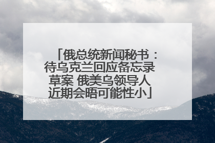 俄总统新闻秘书：待乌克兰回应备忘录草案 俄美乌领导人近期会晤可能性小