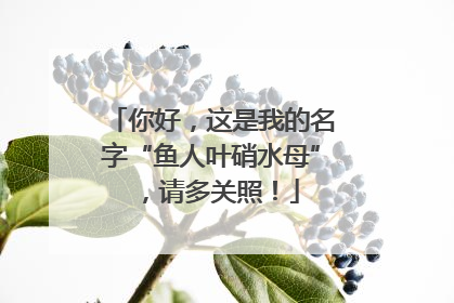 你好，这是我的名字“鱼人叶硝水母”，请多关照！
