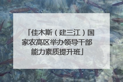 佳木斯（建三江）国家农高区举办领导干部能力素质提升班