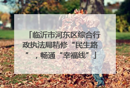临沂市河东区综合行政执法局精修“民生路”，畅通“幸福线”