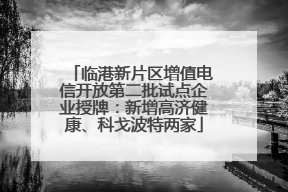 临港新片区增值电信开放第二批试点企业授牌：新增高济健康、科戈波特两家